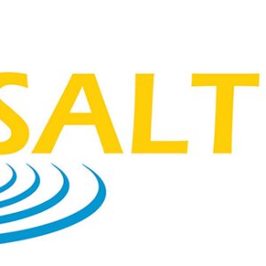 Distinctive brand identity mark designed for a local Hilton-based business